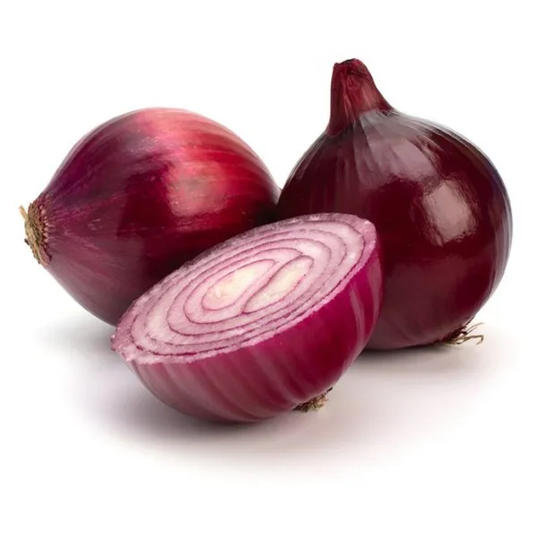 Hot Sales Quality Fresh Red Onion Available For Wholesale Buyers