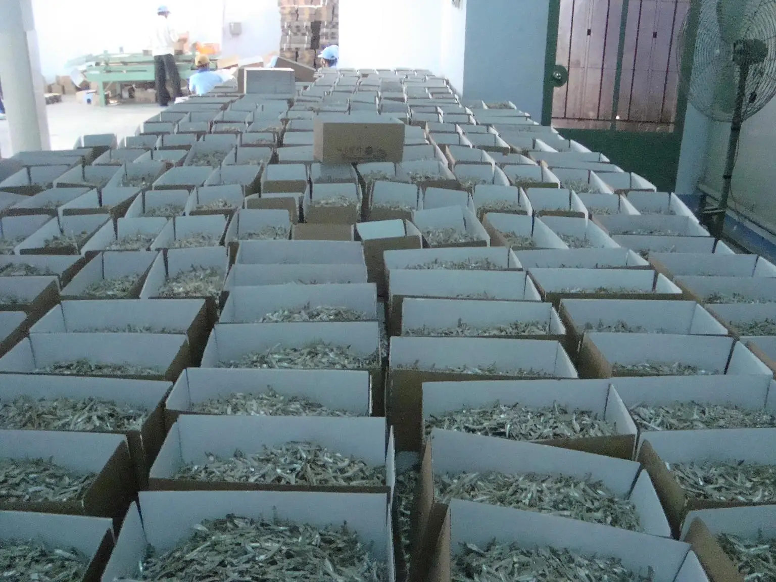 HIGH QUALITY DRIED ANCHOVIES / ANCHOVY / STEAMED ANCHOVIES / Ms. Lima +84 346565938