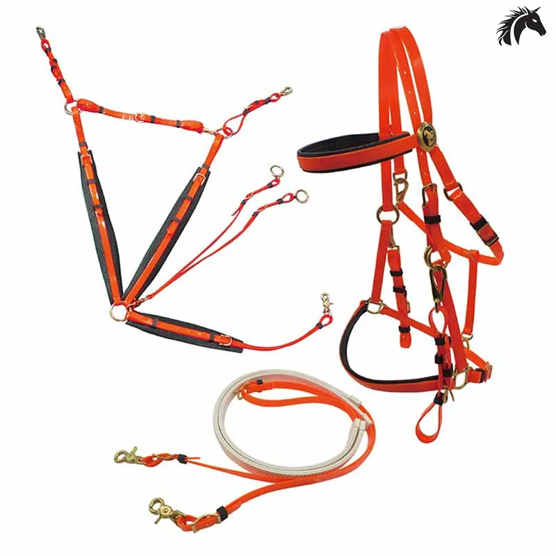 Full Set Endurance Bridle Halter, Endurance Saddle Horse Bridle Halter Rein And Martingale