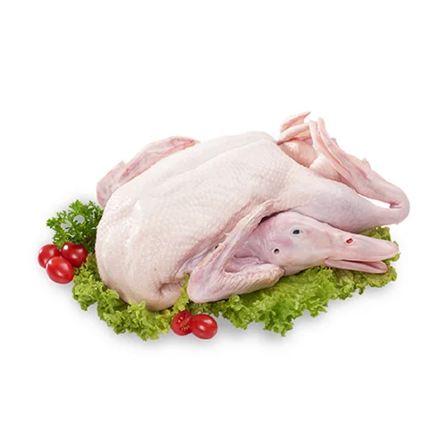 Frozen Duck meat supply wholesale whole duck