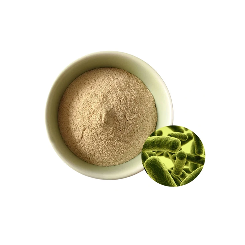 Lactobacillus Plantarum Bulk Probiotics Factory Wholesale Supply Lactobacillus Plantarum Probiotics - Zealmax Biopharma