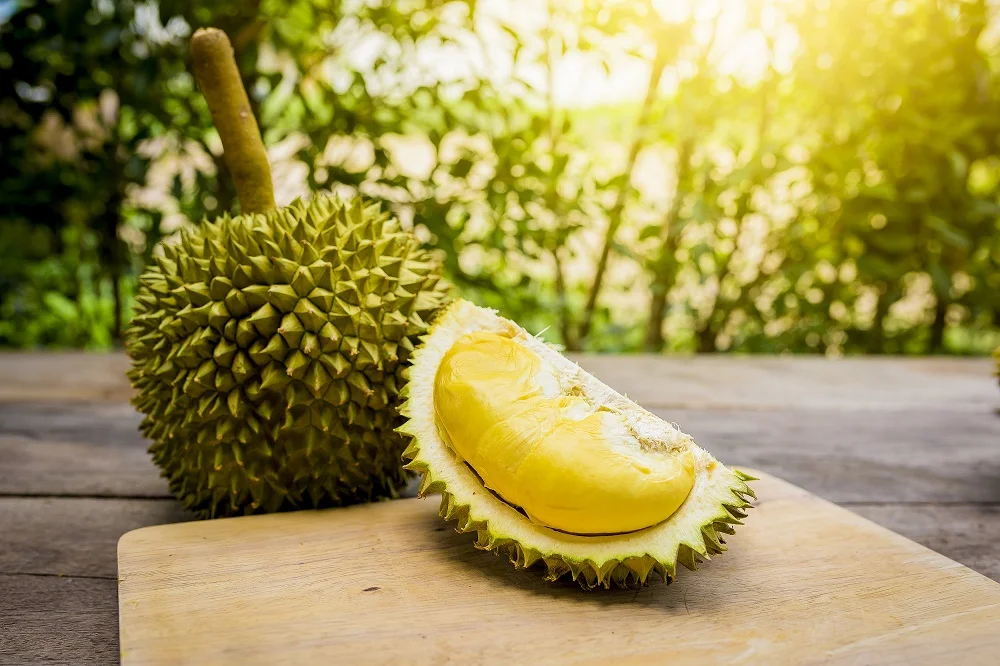 Monthong Variety Carton Box Packaging Yellow Common Cultivation Type Sweet Taste Durian Export From Vietnam