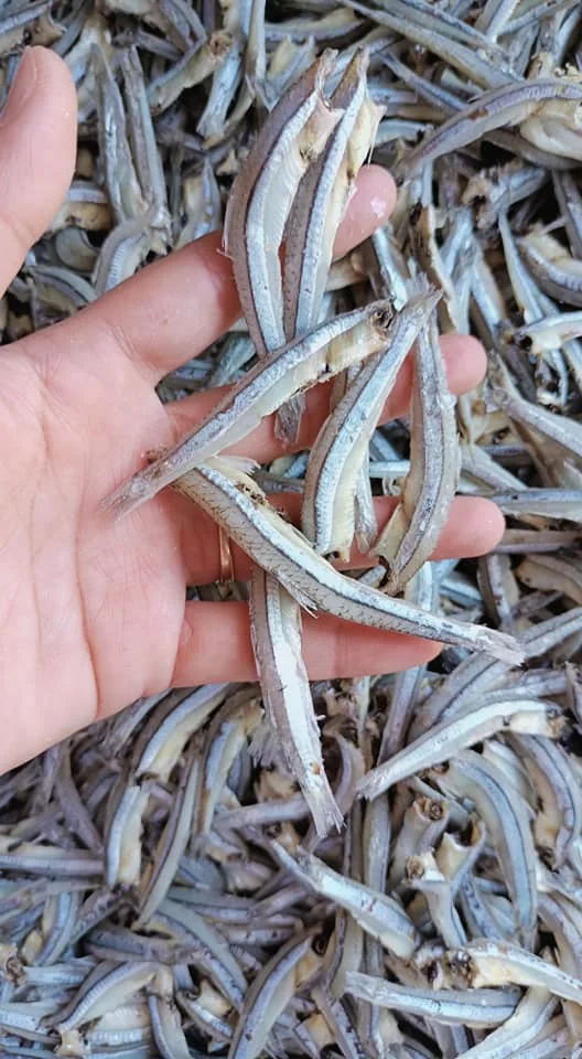 Vietnam dried anchovy with best quality seafood direct good price-  WHATSAP: 0084 989 322 607