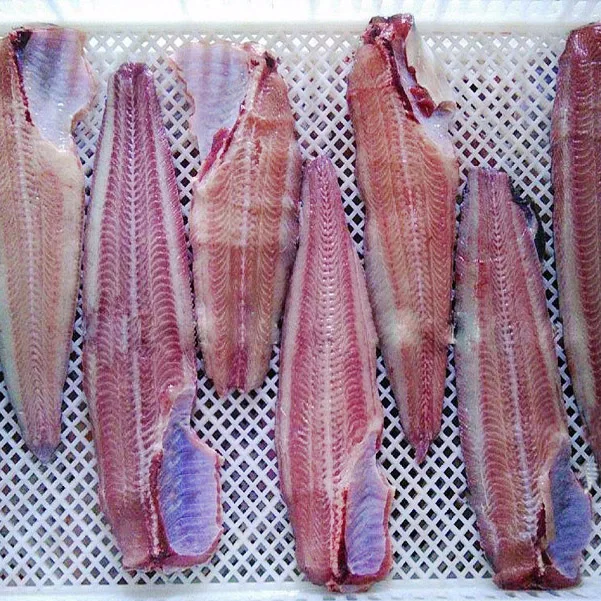  «Холодное сердце» в виде большого толстого сома для поставленный Африканскому рынку 10 кг 500-1000 г/шт.