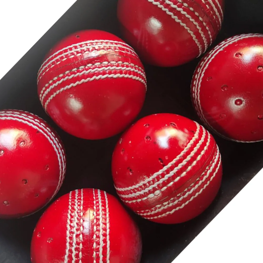 Swinger Cricket Ball for Training & Coaching