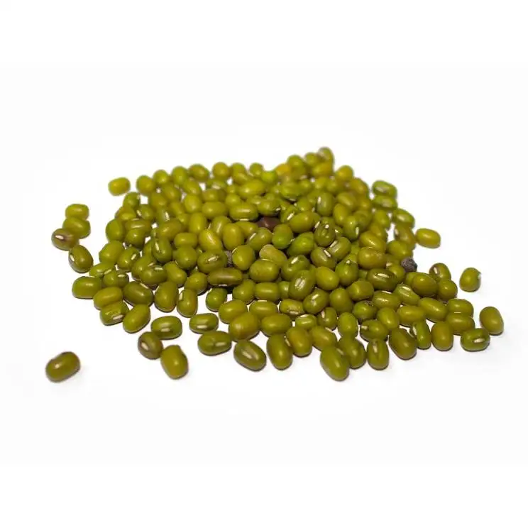 Vigna radiata dried mung beans