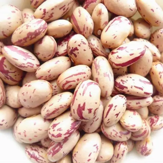 High Quality speckled light, Red, Black & White Kidney Beans for sale.
