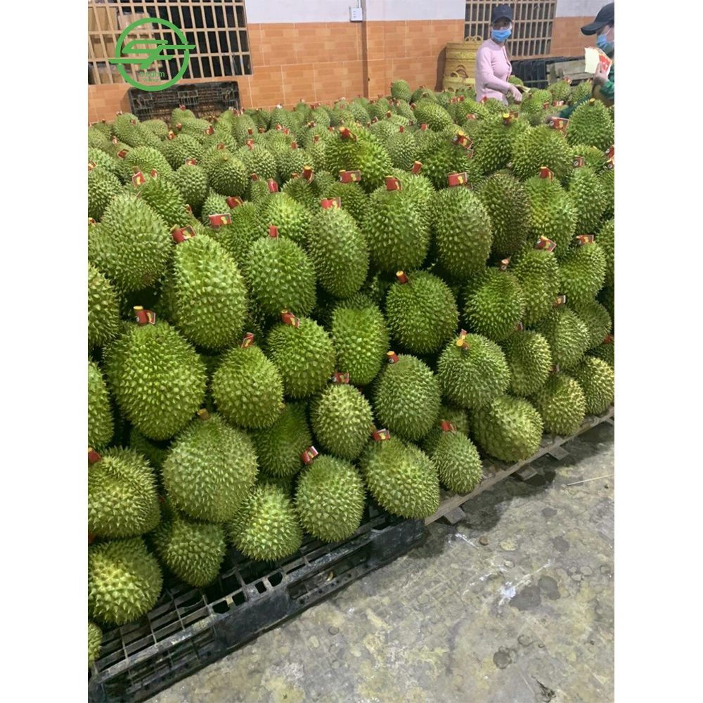 Хит продаж: вкусный дуриан вьетнамский Премиум (Whatsapp/zalo/wechat: + 84 912 964 858)