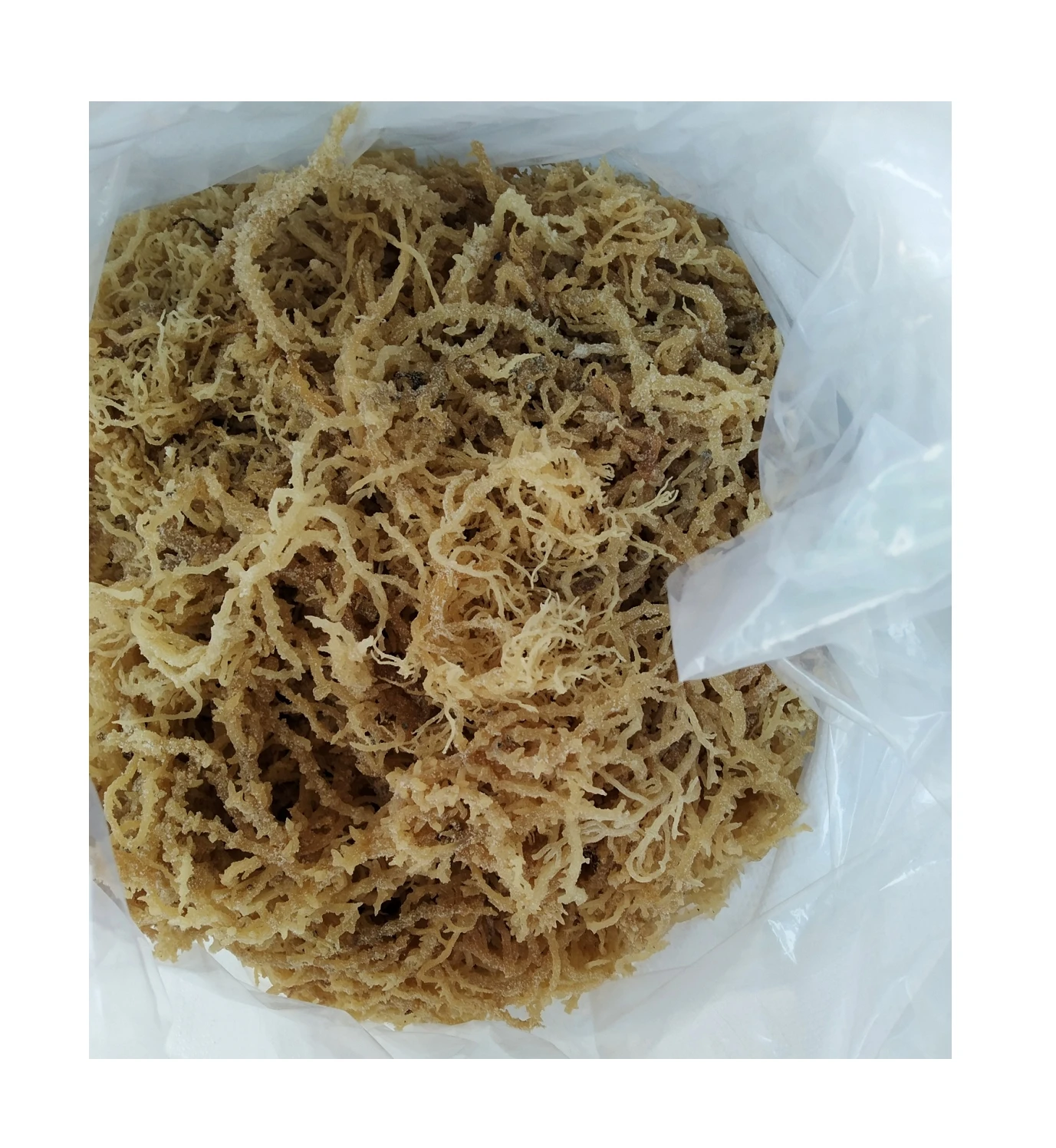
SUPERSALE SEAMOSS / IRISH MOSS SEAWEED IN BULK 