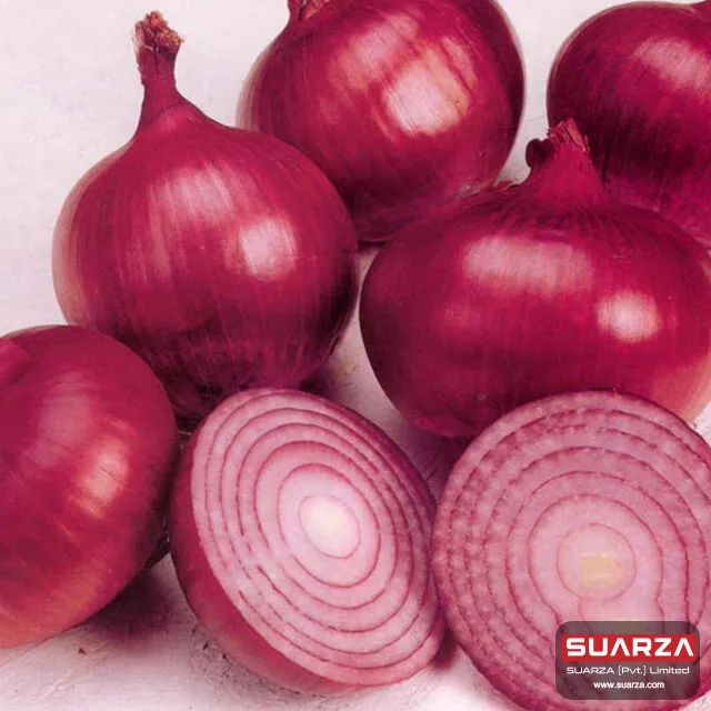Seasonal   Red shallot Onion for Dubai market/ best quality cheap price onion /   Red Onion Exporter
