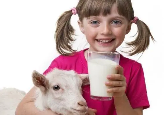 Goat colostrum 20% IgG Made in France 90 capsules 225 milligrams