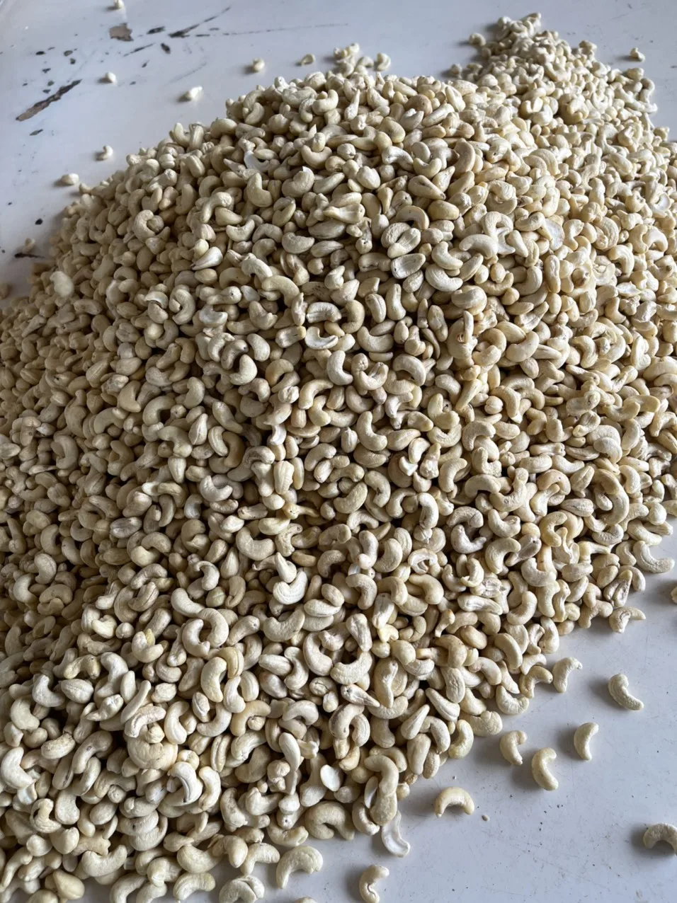 Vietnam Good Quality Cashew Nut Raw Bulk Cashews W240 Raw Cashew Nuts Prices Offered Dried Fruits Nuts