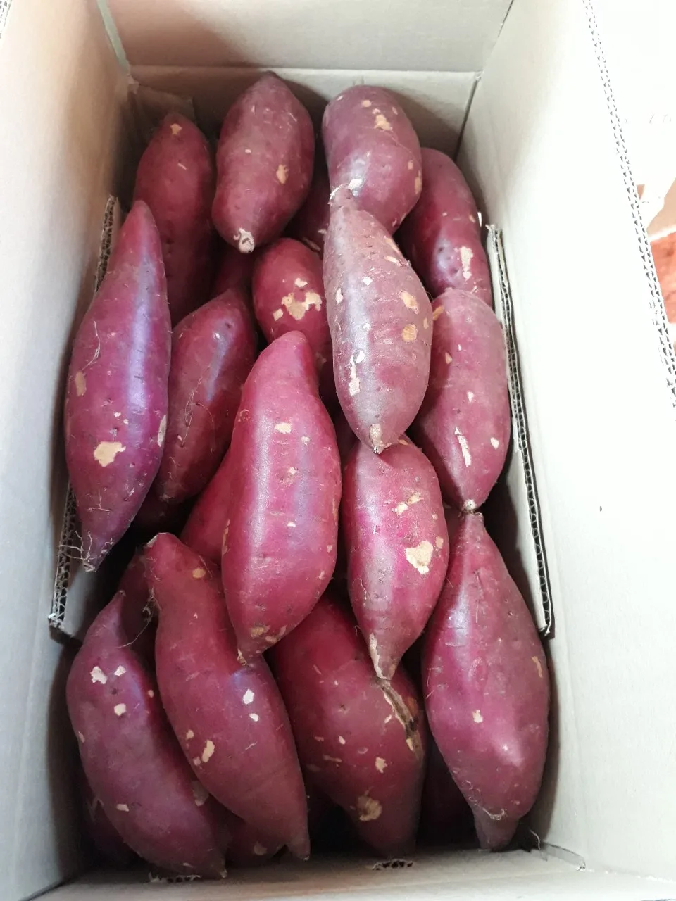 MicrosoftTeams-image (8).png