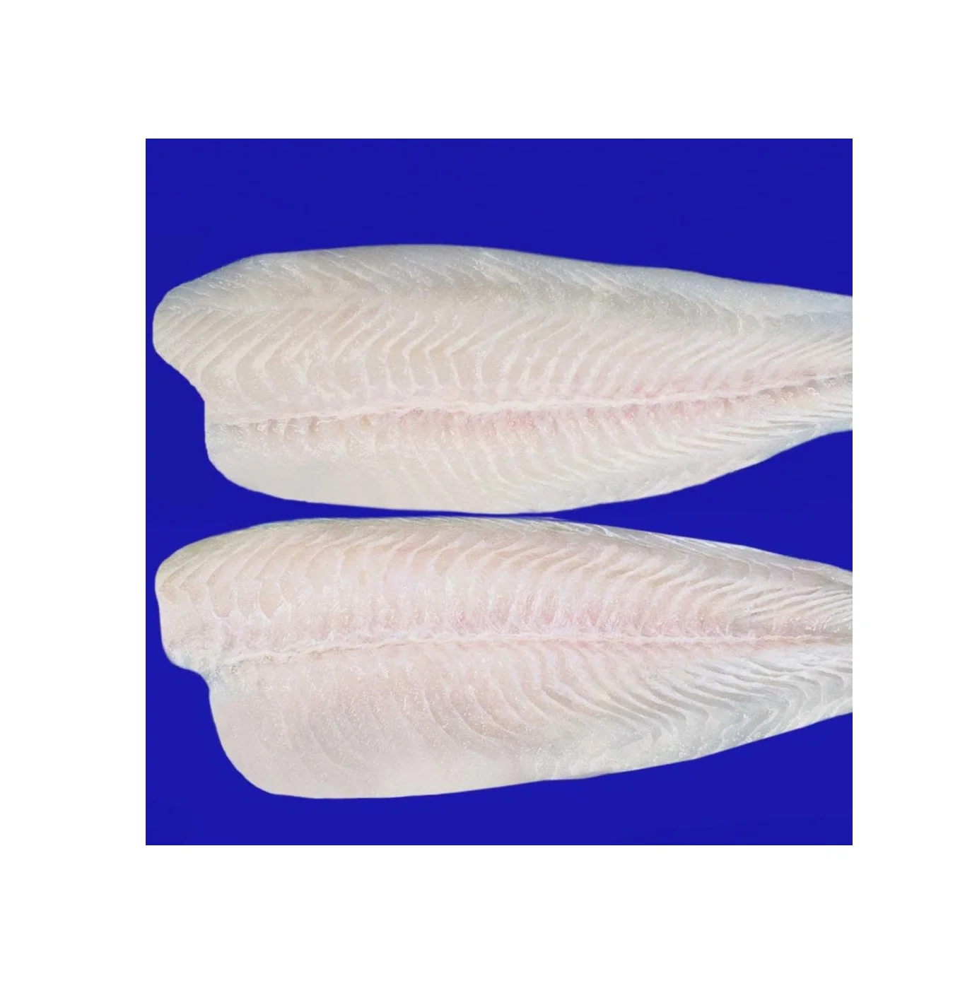 Wholesale Seafood Supplier Pangasius Fillets 300-500g For Sale In Cheap Price