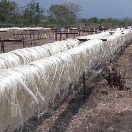 sisal fiber11.jpg