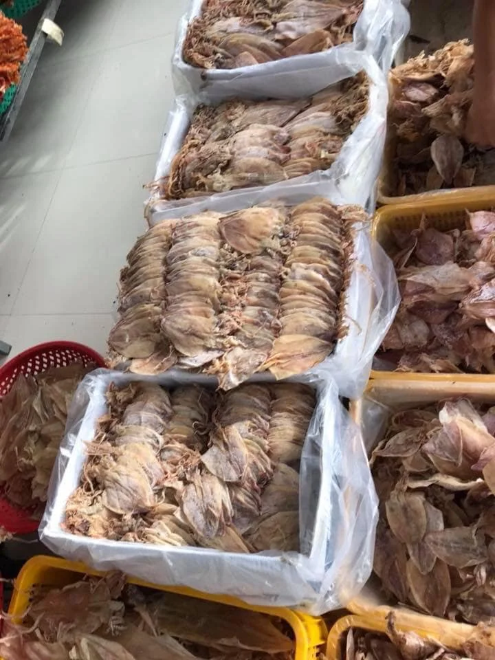  Хит продаж сушеные морепродукты большой кальмар 84 896674503