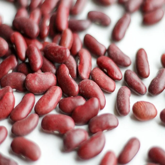 Оптовая продажа Pinto Bean красная зернистая фасоль