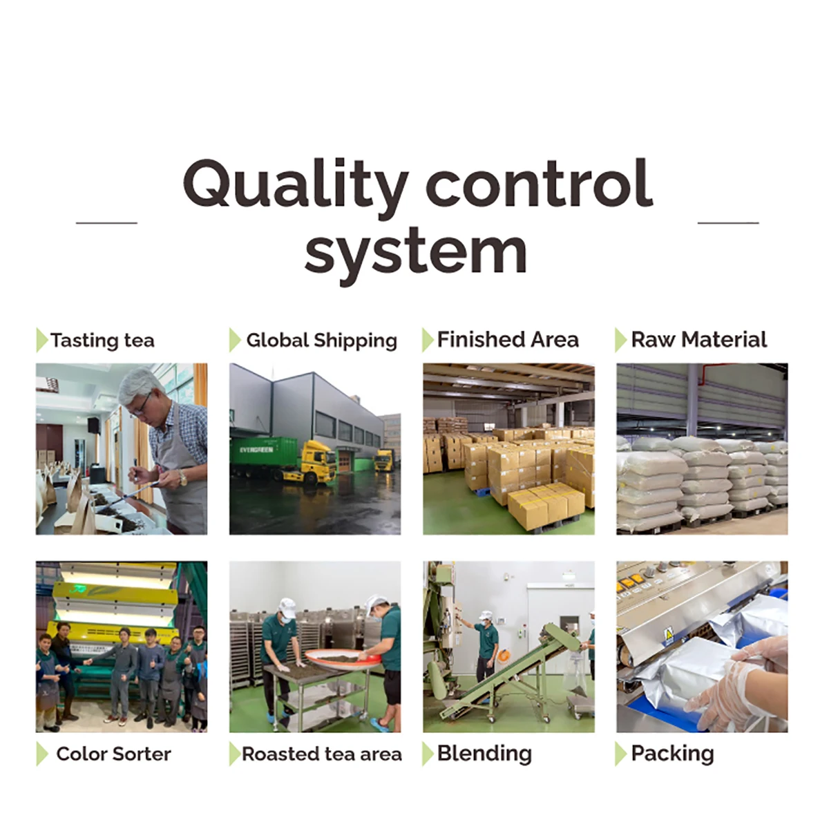 5 Stars Four Season Oolong Tea with Aluminum Bag