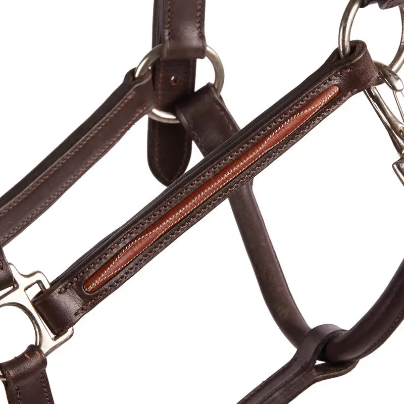 high quality 100% genuine leather fancy horse halter with hand made stitching for horse racing