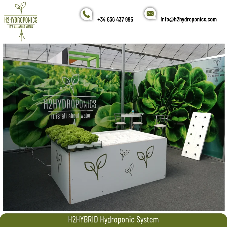 
Agricultural H2HYBRID Hydroponic Growing Systems for Greenhouses and Indoor Farms 