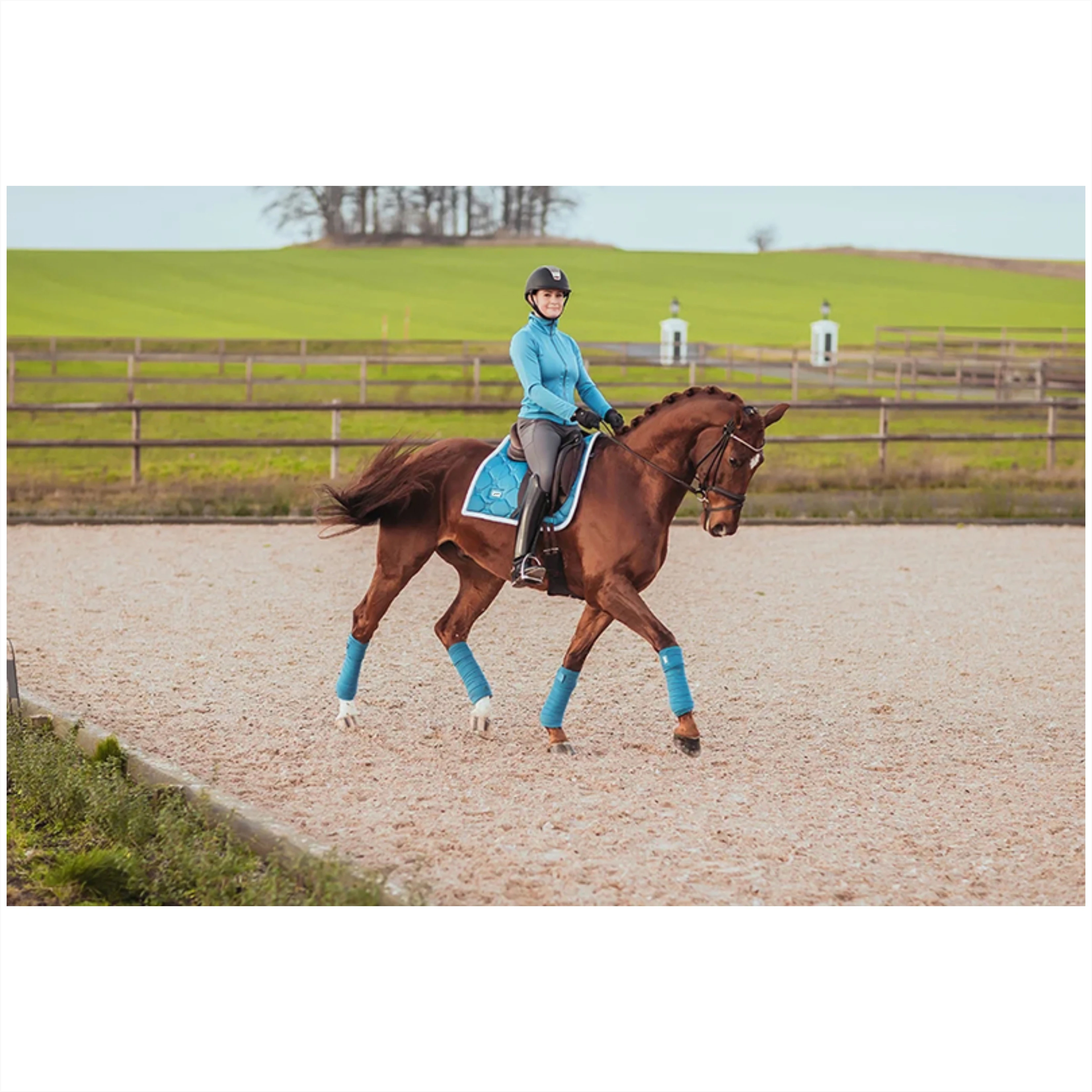 Horse Riding Equipment Equine Equestrian Products