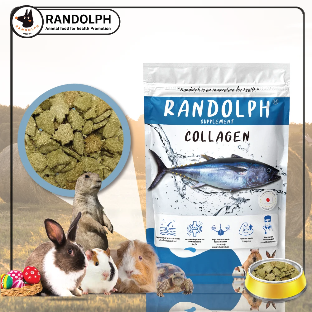 Randolph Collagen Type II, Maintain Bone and joint Health and Prevent for Herbivores Product From Thailand.