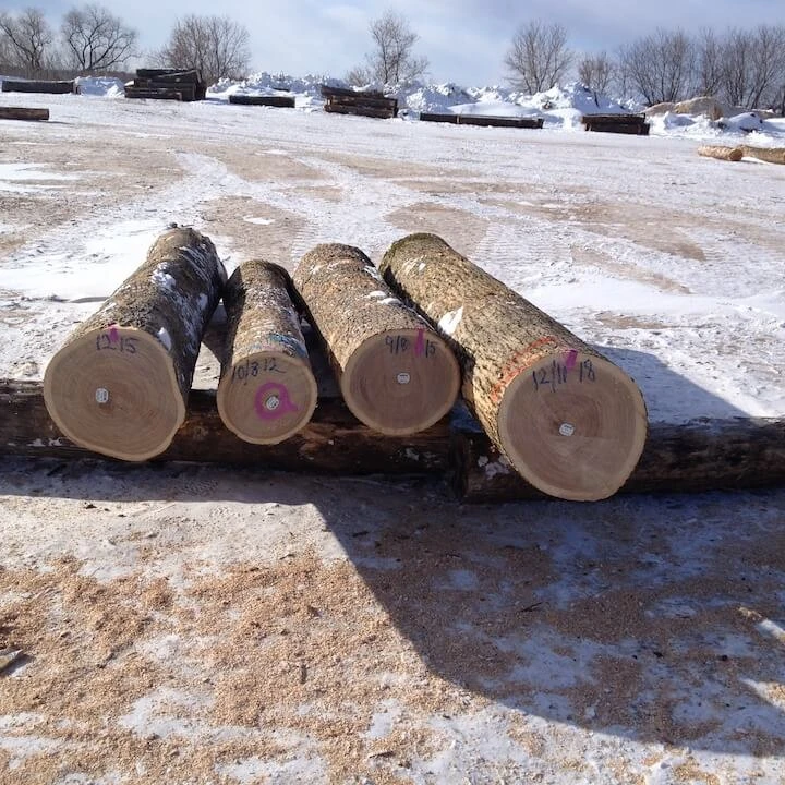 European White Oak Saw Logs