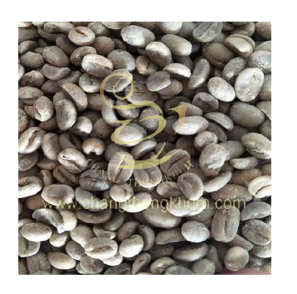 Арабика зеленые кофейные зерна лучший продукт премиум качества от производителя в Таиланде Changthongkhum