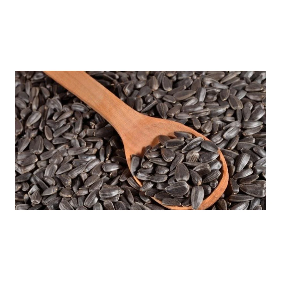 100% natural sunflower seed & kernels bulk oil seeds non-GMO wholesale natural Kazakhstan organic sunflower