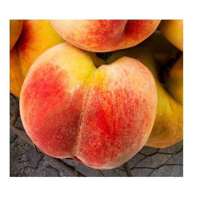 Нектарин лучшего качества по низкой цене из Пакистана