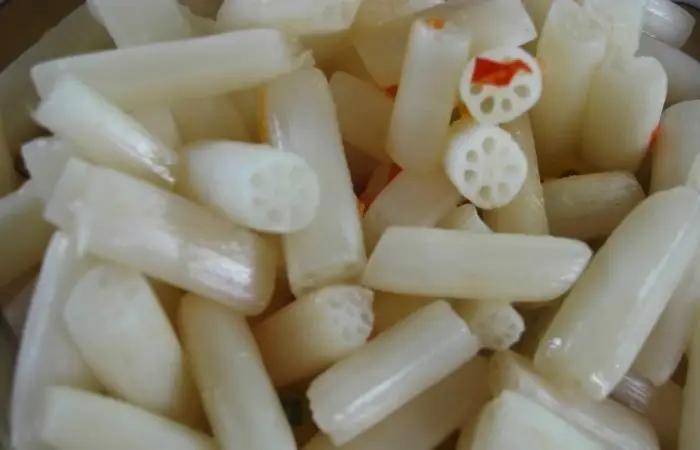 Лучший производитель консервированных Кореней лотоса из вьетнамской фабрики/WhatsApp + 84-90 / WhatsApp 84-902803631