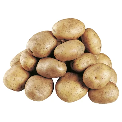 
Свежий Овощной картофель высокого качества 