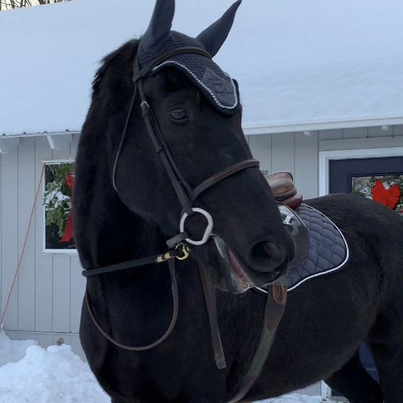 2021 Full Set Saddle Pads Comfortable Shock Absorption Thickening Non Slip Outdoor Equestrian Training Horse Riding Pads