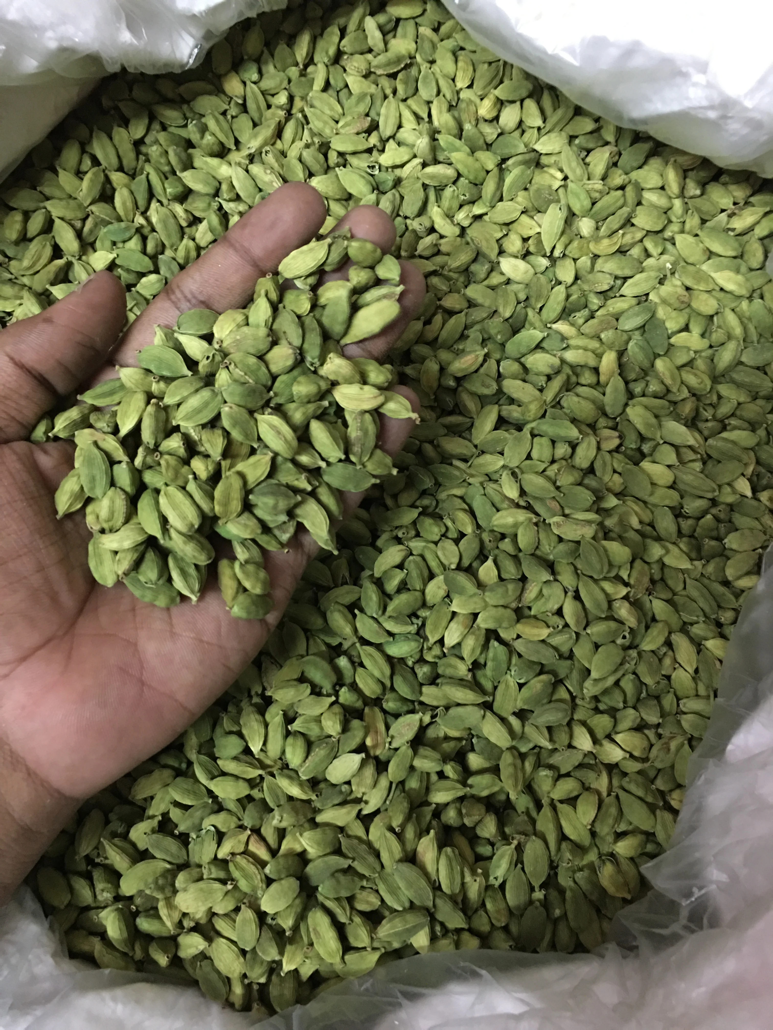 Green Cardamom 100% Indian Origin Premium Quality 7 MM Size for Germany Spices Seasonings on demand standard quality