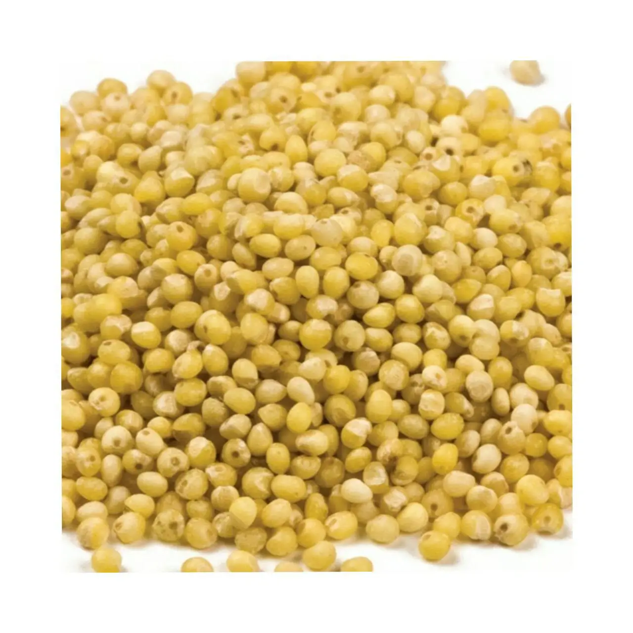 Очищенный желтый или сорго CH5