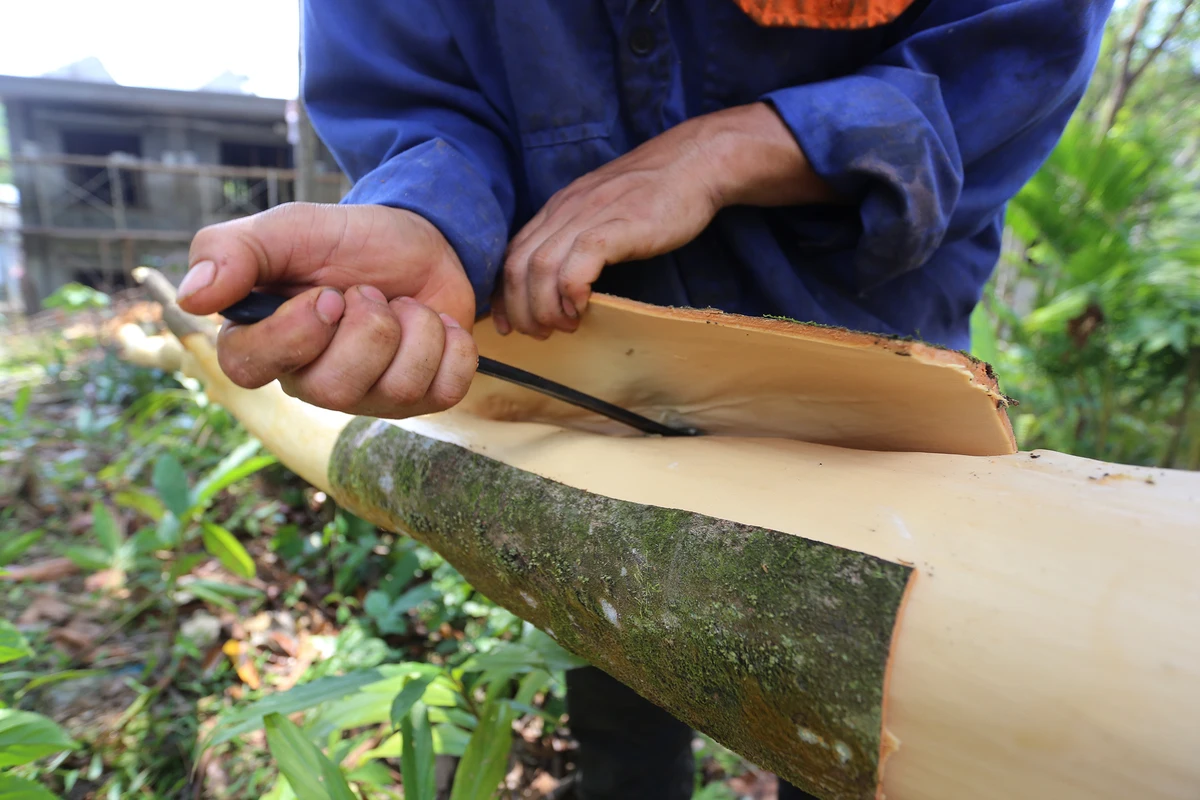 Cinnamon spices Top product 100% Natural Dried Cinnamon powder made in Vietnam 2022 cinnamon oil