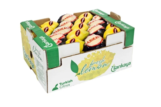 
Fresh Lemon Bulk Citrus Fruit 