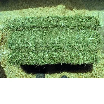 Natural Cattle Alfalfa Hay Animal Feed for sale