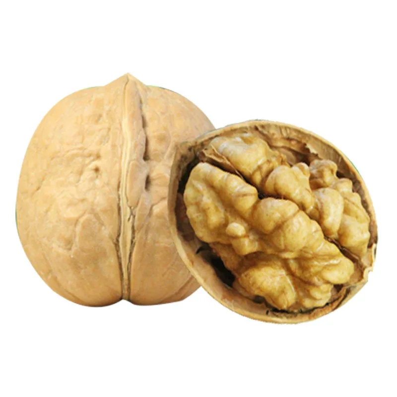 Best raw 65% paper shell dry fruit walnuts from USA