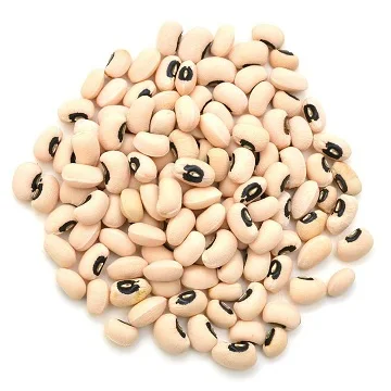 Best Quality White Cowpeas Vigna Beans / Black Eyes Beans In Bulk