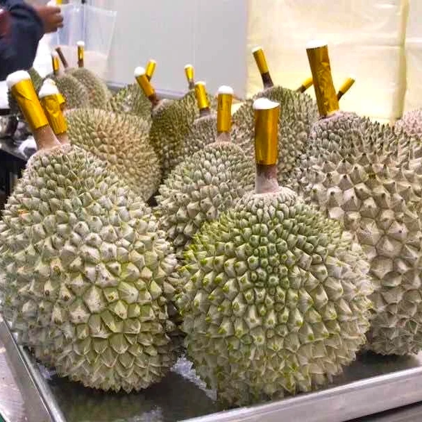MONTHONG DURIAN - DURIAN FRUIT PRICE - VIETNAM DURIAN FRUIT (+84938244404)