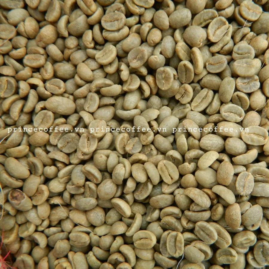Лидер продаж вьетнамские кофейные зерна Arabica оптовая продажа зеленых кофейных зерен зерна-Сырые