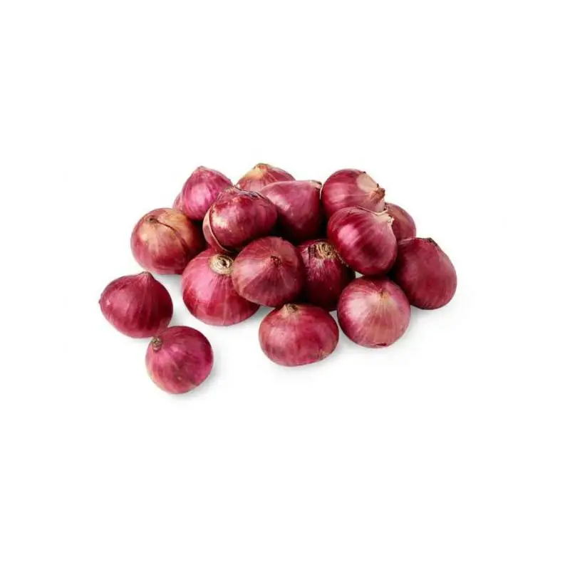 Organic and fresh red onion hair oil for wholesale from India