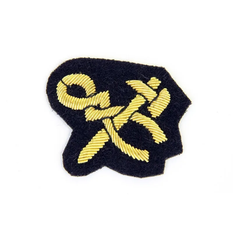 Значки вышивки ранг и назначения представлено в двух WO1 & WO2 значок ВВС США офицерская форма значки