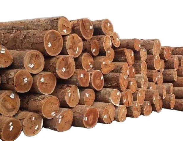 High quality beech wood cutting board Pine log wood /pine wood timber/pine sawn timber pine timber for construction