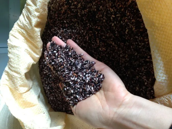  Черный рис с длинным зерном ароматный черный Лидер продаж Круглый клейкий (Ms Деми + 84 961 733 400)