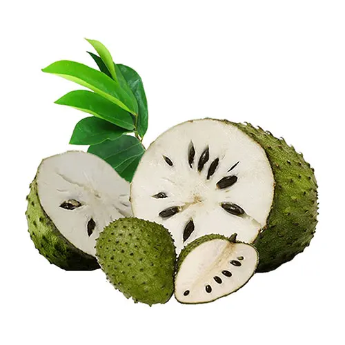 Оптовая продажа свежих фруктов Soursop Премиум из Вьетнама/сладкий и кислый вкус фруктов.