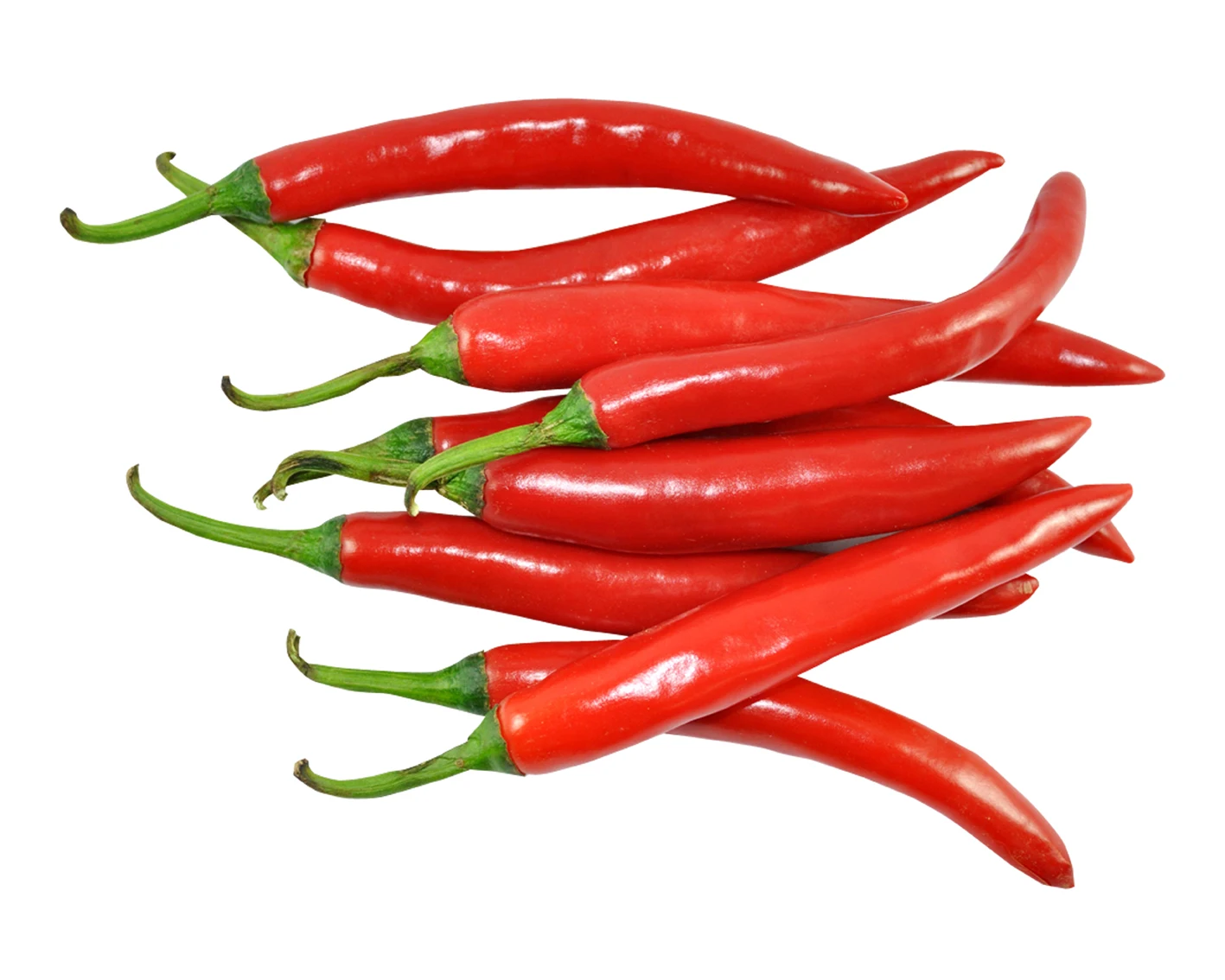 5 (7).jpg