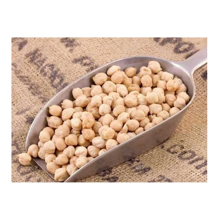 Bulk Quantity Of Raw Dried Chickpeas Available Here At Best Prices