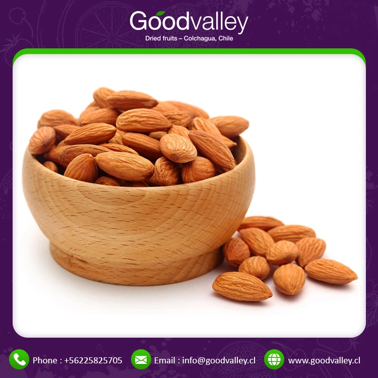 2021 Bulk Supply  Factory Lowest Price Top Quality Raw Nutrition Organic Almond Nuts for Export